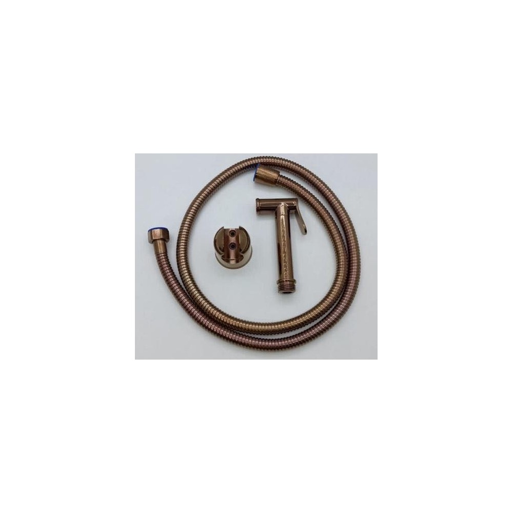 PISTOLET WC+FLEXIBLE LAITON SHT07